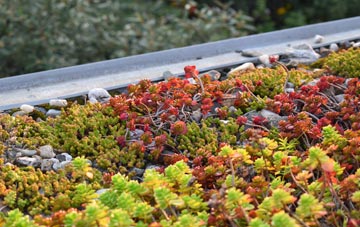 the cost of Craigdarroch green roof installation