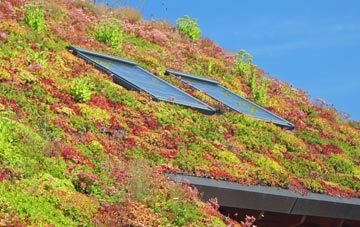 Craigdarroch living roof systems
