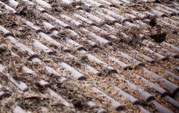 Craigdarroch roof cleaning companies