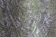 Craigdarroch fibreglass roof work